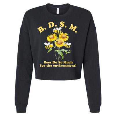 BDSM Bees Do So Much For The Environment Cropped Pullover Crew