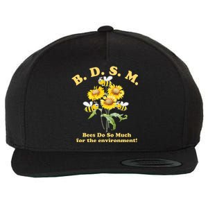 BDSM Bees Do So Much For The Environment Wool Snapback Cap