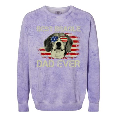 Best Beagle Dad Ever Dog Lover American Flag Gift Colorblast Crewneck Sweatshirt