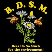 BDSM Bees Do So Much For The Environment T-Shirt