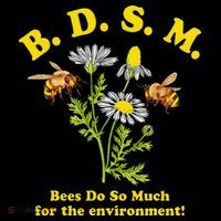 BDSM Bees Do So Much For The Environment Tall T-Shirt