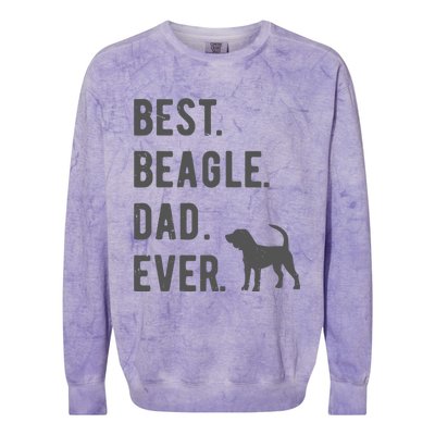 Best Beagle Dad Ever Funny Beagle Dog Lovers Dad Gift Colorblast Crewneck Sweatshirt