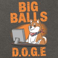 Big Balls D.O.G.E Doge Funny Cotton Canvas Backpack