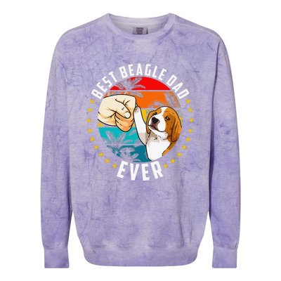 Best Beagle Dad Ever Colorblast Crewneck Sweatshirt