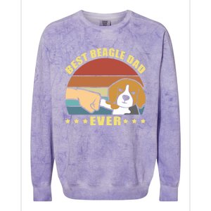 Best Beagle Dad Ever Dog Owner Father Funny Gift Colorblast Crewneck Sweatshirt