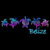 Belize Beach Design / Tribal Turtle Gift Impact Tech Backpack