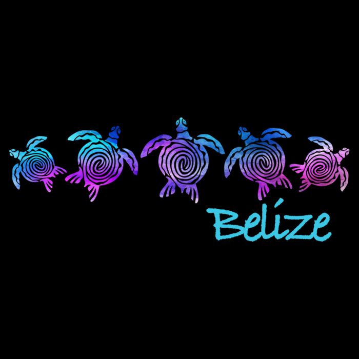 Belize Beach Design / Tribal Turtle Gift Impact Tech Backpack