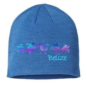 Belize Beach Design / Tribal Turtle Gift Sustainable Beanie