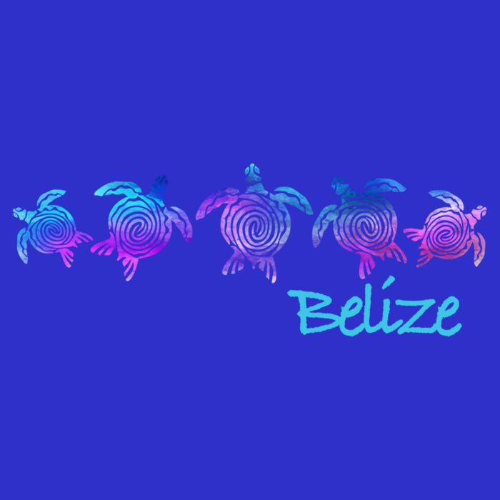 Belize Beach Design / Tribal Turtle Gift 16 in Basic Backpack