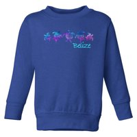 Belize Beach Design / Tribal Turtle Gift Toddler Sweatshirt