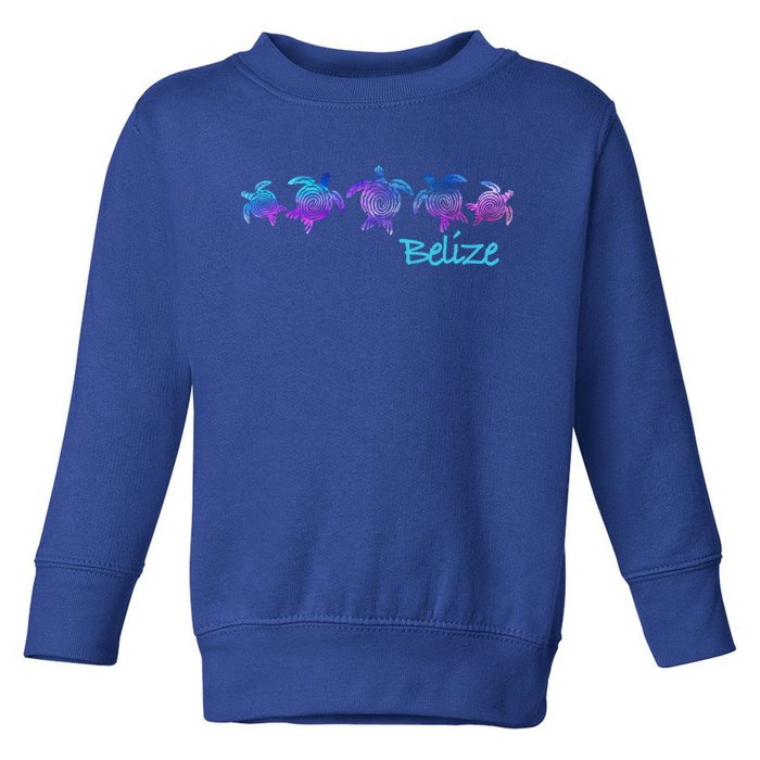 Belize Beach Design / Tribal Turtle Gift Toddler Sweatshirt