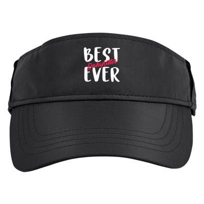 Best Babysitter Ever Professional Sitter And Nanny Gifts Adult Drive Performance Visor