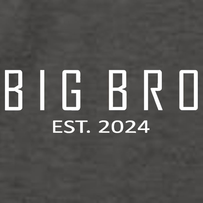 Big Bro Est 2024 Funny First Time Brother Promoted Vector Backpack