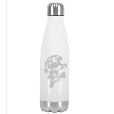 Beethoven Stainless Steel Insulated Water Bottle