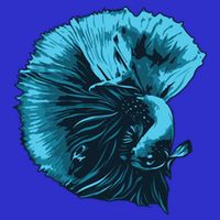 Blue Betta Fish And Siamese Fighting Fish Aquarium Owner Funny Gift Womens T-Shirt