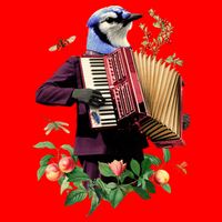 Blue Bird Fancy Animal Musician Poster