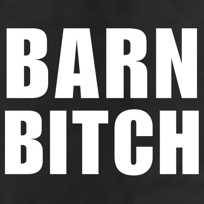 Barn Bitch Funny Saying Sarcastic Farming Farmer Adult Drive Performance Visor