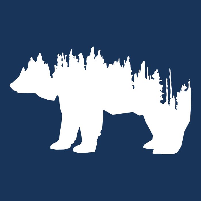 Brown Bear Forest Nature T-Shirt