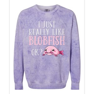 Blobfish Bob Fish Funny Cute Blob Blobby Colorblast Crewneck Sweatshirt