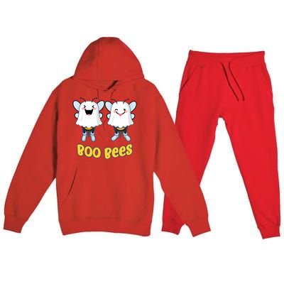 Boo Bees Funny Halloween Gift Premium Hooded Sweatsuit Set