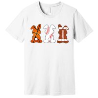 Basketball Baseball Football Sports Easter Bunny Rabbits Premium T-Shirt