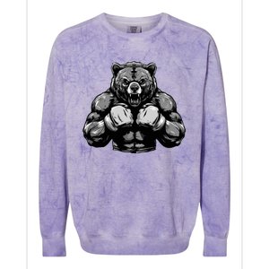 Bear Boxer Fighter Boxing Mixed Martial Arts Gift Colorblast Crewneck Sweatshirt