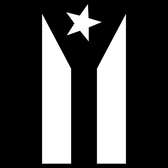 Black Boricua Flag Protest 16 in Basic Backpack