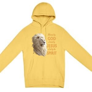 Blessed By God Loved By Jesus Christian Lion Premium Pullover Hoodie