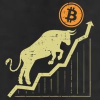 Bitcoin Bull Graph Bullish Btc Crypto Cryptocurrency Trader Crop Fleece Hoodie