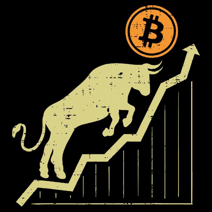 Bitcoin Bull Graph Bullish Btc Crypto Cryptocurrency Trader Kids T-Shirt