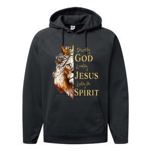 Blessed By God Loved By Jesus Lion Performance Fleece Hoodie