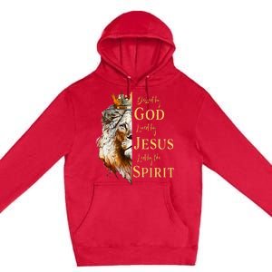 Blessed By God Loved By Jesus Lion Premium Pullover Hoodie