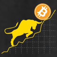 Bitcoin Bull Graph Bullish BTC Crypto 7 Panel Mesh Trucker Snapback Hat