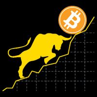 Bitcoin Bull Graph Bullish BTC Crypto Drawstring Bag