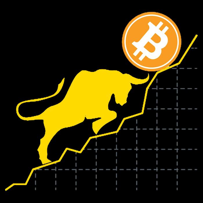Bitcoin Bull Graph Bullish BTC Crypto 16 in Basic Backpack