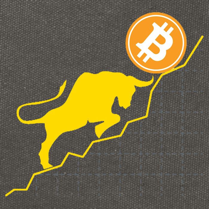 Bitcoin Bull Graph Bullish BTC Crypto Cotton Canvas Backpack
