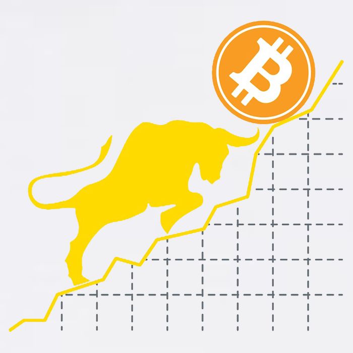Bitcoin Bull Graph Bullish BTC Crypto Garment-Dyed Sweatshirt