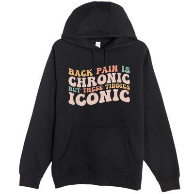 Big Boob Humor Iconic Funny Inappropriate Embarrassing Premium Pullover Hoodie