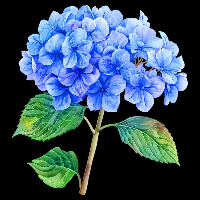 Beautiful Blue Hydrangea Flowers Mug