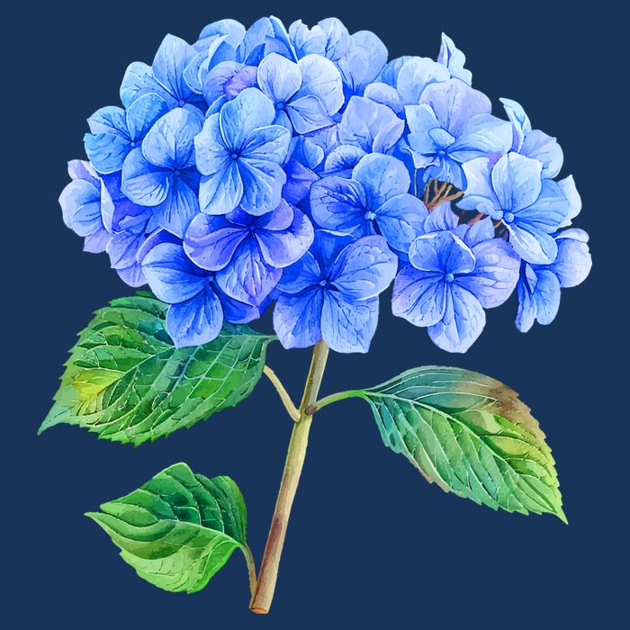 Beautiful Blue Hydrangea Flowers Apron