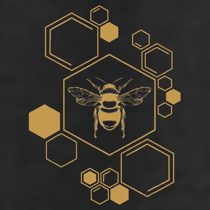 Bee Beekeeping Honeycomb Honey Beekeeper Bee Beanie