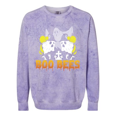 Boo Bees Halloween Couples Gift Colorblast Crewneck Sweatshirt