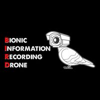 BIRD Bionic Information Recording Drone 7-Panel Snapback Hat