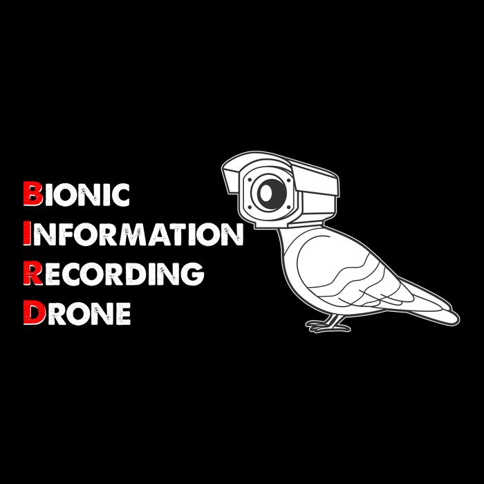 BIRD Bionic Information Recording Drone 7-Panel Snapback Hat