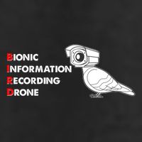 BIRD Bionic Information Recording Drone Tumbler