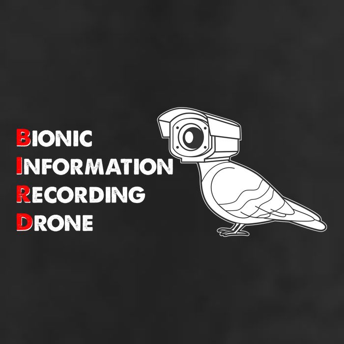 BIRD Bionic Information Recording Drone Tumbler