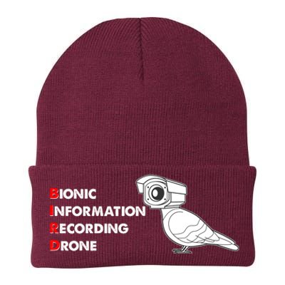 BIRD Bionic Information Recording Drone Knit Cap Winter Beanie