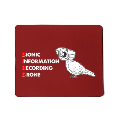 BIRD Bionic Information Recording Drone Mousepad