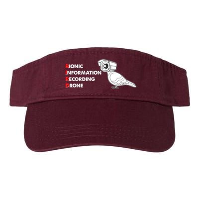 BIRD Bionic Information Recording Drone Visor