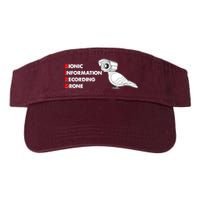 BIRD Bionic Information Recording Drone Visor